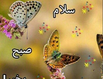 عکس صبح بخیر همگی