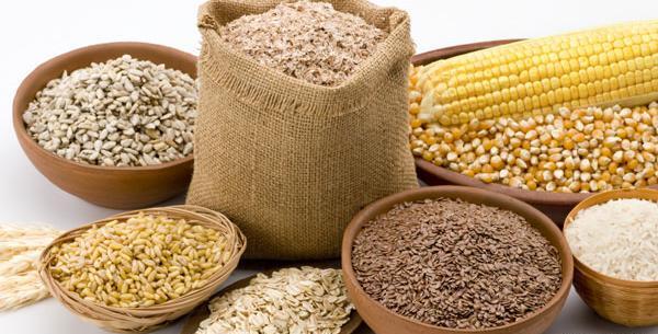 عکس گروه غلات