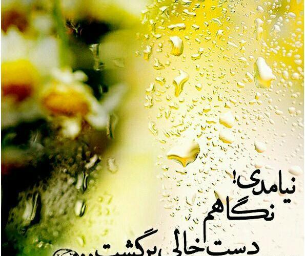 عکس امام زمان این جمعه هم نیامدی