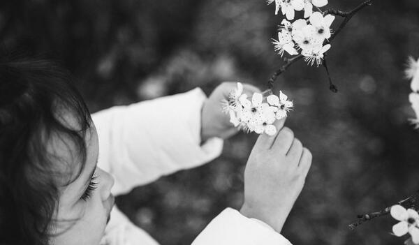 عکس پروفایل گل سیاه و سفید