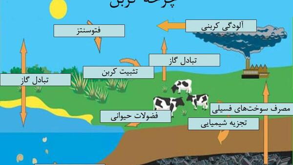 عکس چرخه خاک