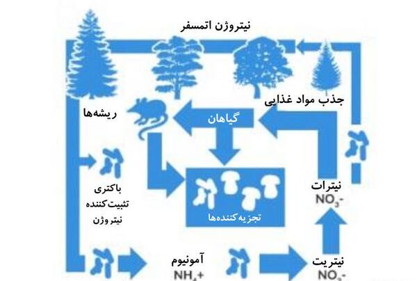 عکس چرخه خاک