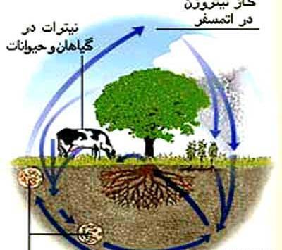 عکس چرخه خاک