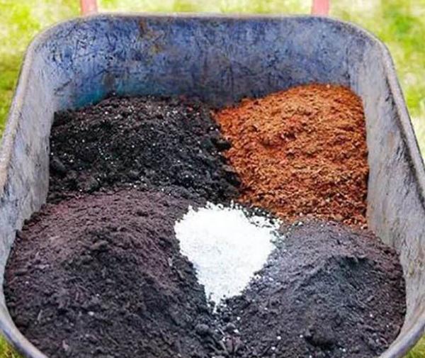 عکس خاک لومی