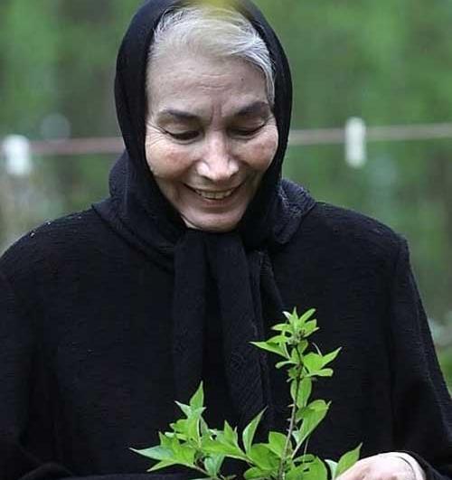 عکسهای پروانه معصومی وهمسرش