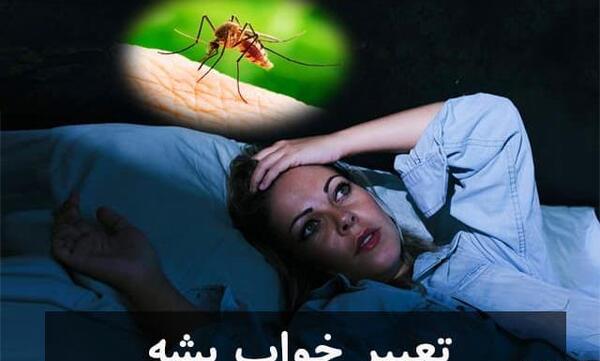 عکس پشه مرده