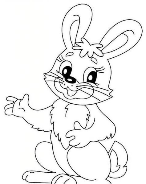 عکس خرگوش برای نقاشی