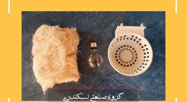 عکس لانه قناری
