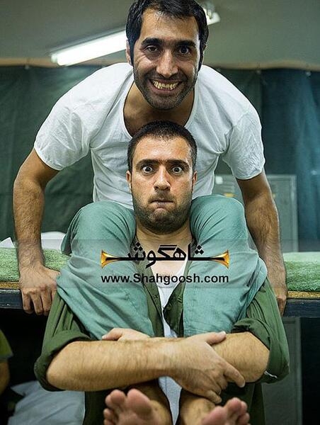 عکس شاهگوش