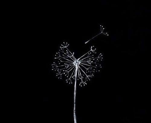 عکس پروفایل سیاه خالی