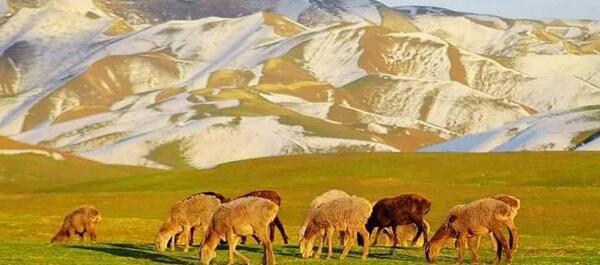 عکس های تخار افغانستان