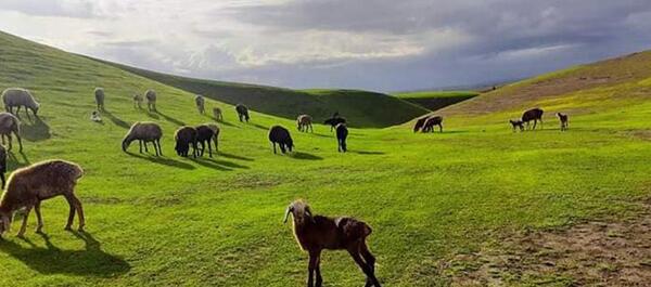 عکس های تخار افغانستان