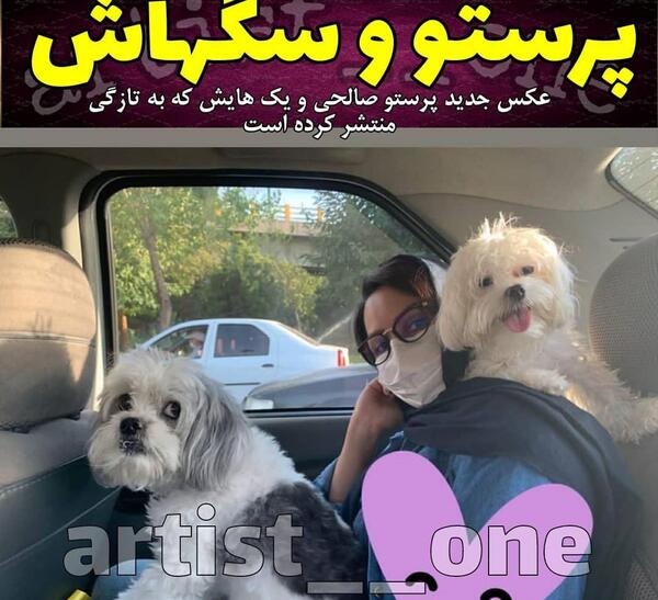 عکس ماشین پرستو صالحی