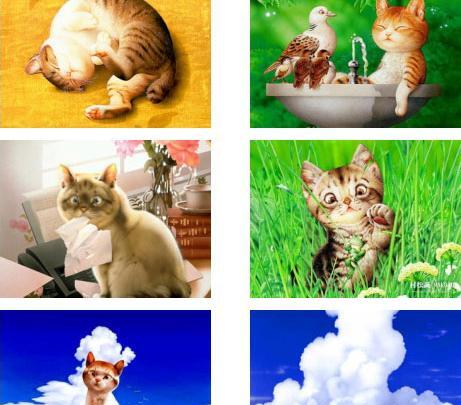 عکس گربه انیمیشنی