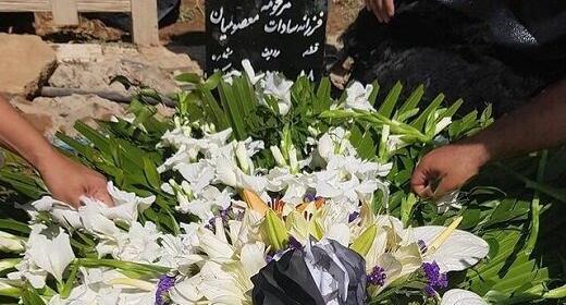 عکس پروانه معصومیان