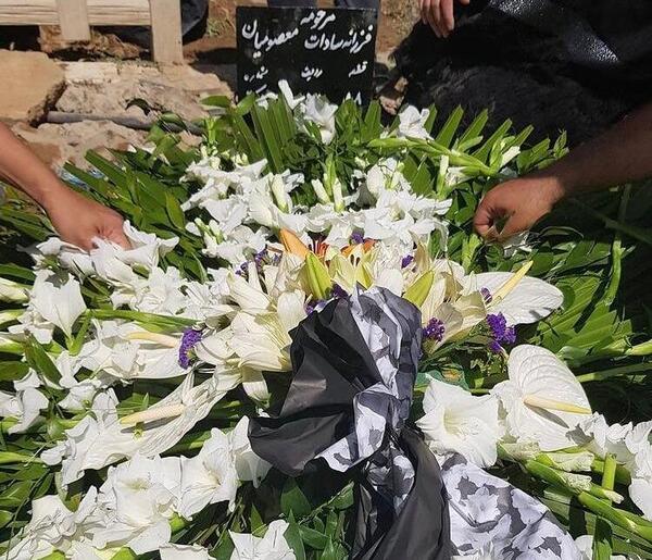 عکس پروانه معصومیان