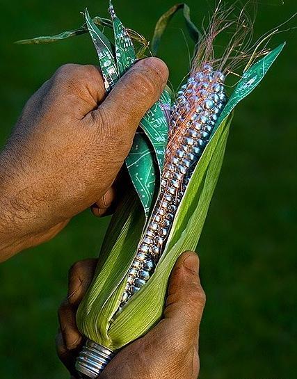 عکس دیدنی و زیبا