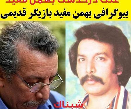 عکس های پیری بهمن مفید