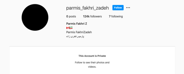 عکس با حجاب پارمیس