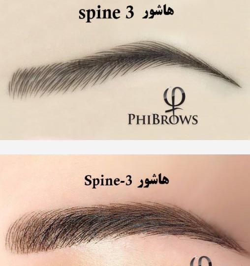عکس تاتو فیبروز