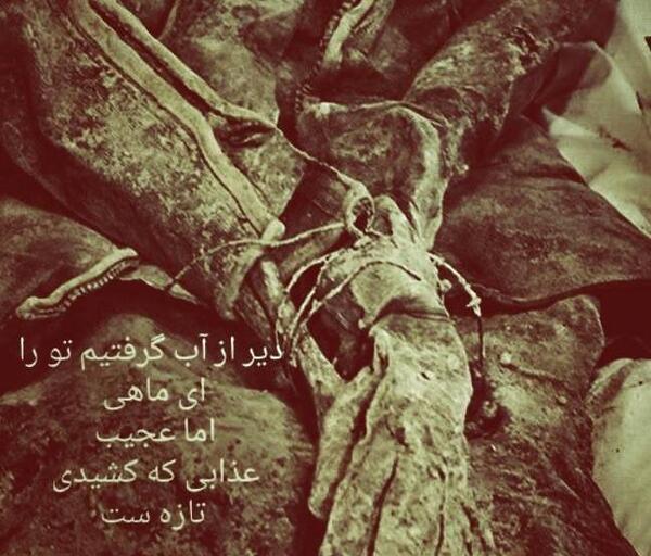 عکس شهید غواص دست بسته