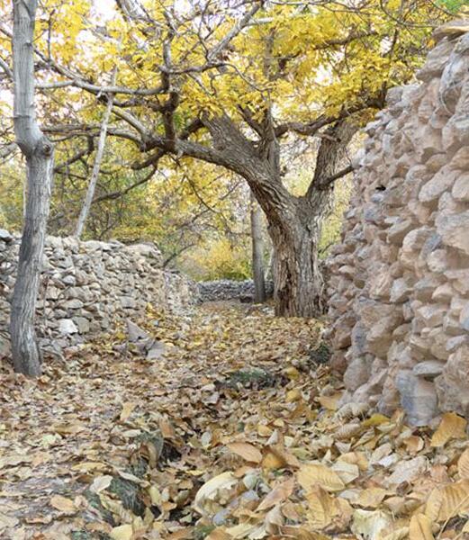 عکس روستا پاییز