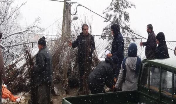 عکس روستای آغوزداربن