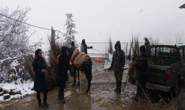 عکس روستای آغوزداربن