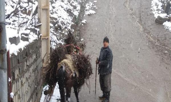 عکس روستای آغوزداربن