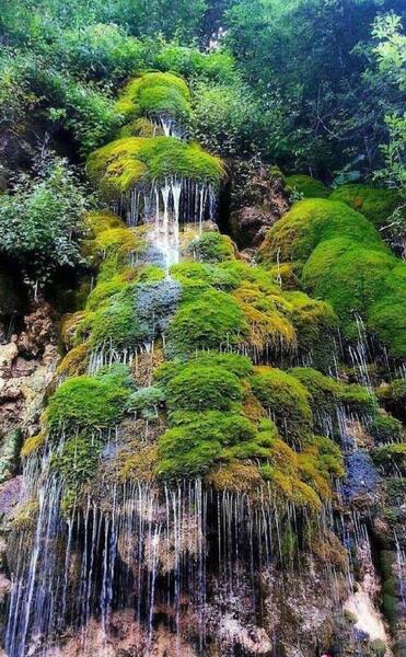 عکس جاهای دیدنی شمال