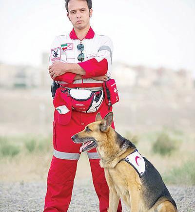 عکس سگ ژرمن افغان