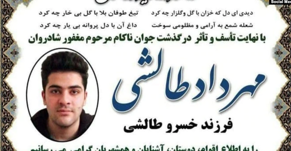 عکس های جدید امیر طالشی