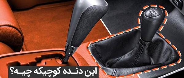 عکس دنده کمک پاژن