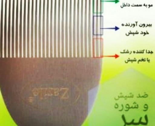عکس شانه شپش سر