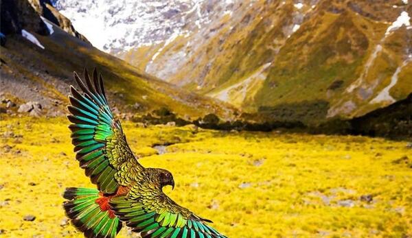 عکس طبیعت زیبای