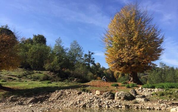 عکس روستای غریب محله بهشهر