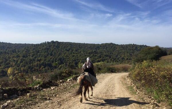 عکس روستای غریب محله بهشهر