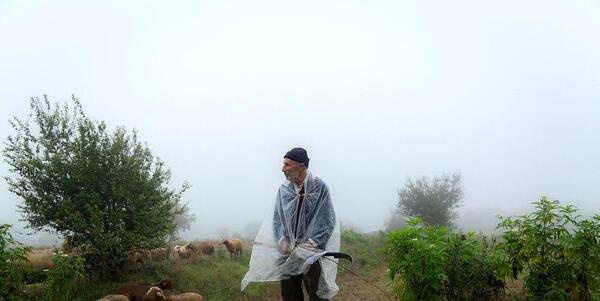 عکس روستای غریب محله بهشهر