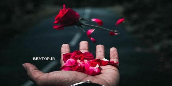 عکس گل پسرانه برای پروفایل