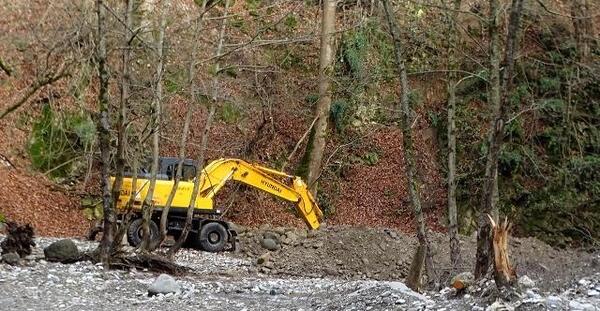 عکس خاک جنگل