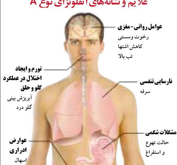 عکس از ویروس آنفولانزای خوکی