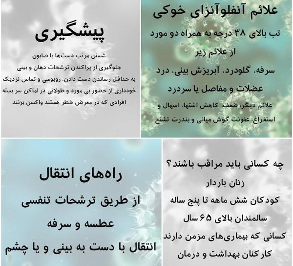 عکس از ویروس آنفولانزای خوکی