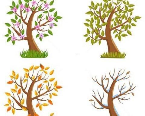 عکس ساده چهار فصل