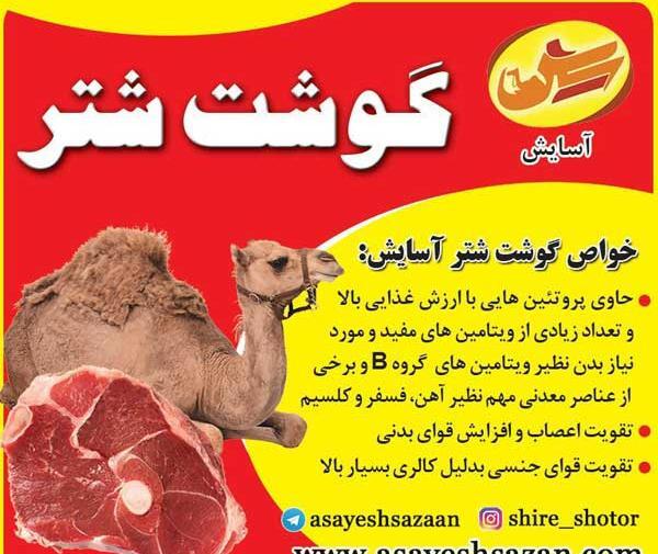 عکس شتر پخته