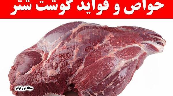 عکس شتر پخته