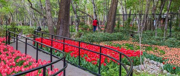 عکس جاهای گردشگری تهران
