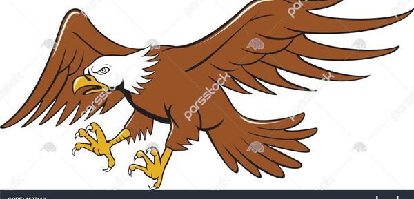 عکس عقاب کارتونی