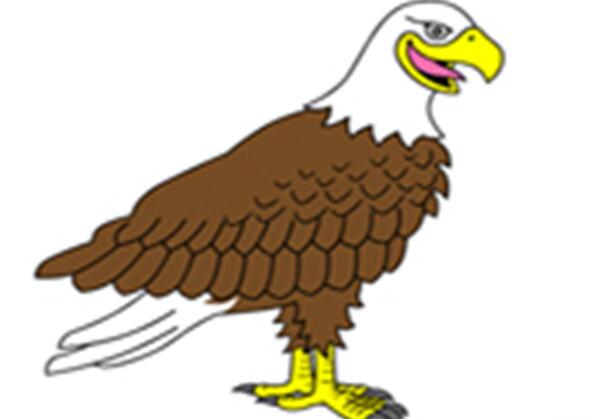 عکس عقاب کارتونی