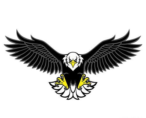 عکس عقاب کارتونی