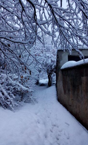 عکس روستای ژنین
